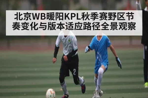 北京WB暖阳KPL秋季赛野区节奏变化与版本适应路径全景观察 - Kaiyun